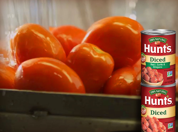 Why Hunt's Tomatoes